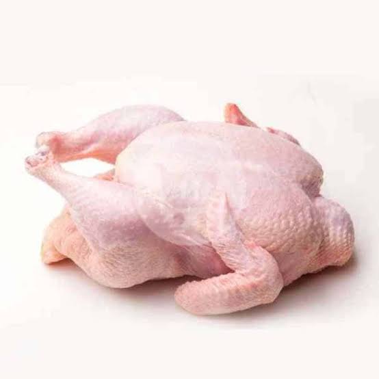 Ayam Potong Fresh 1 Ekor