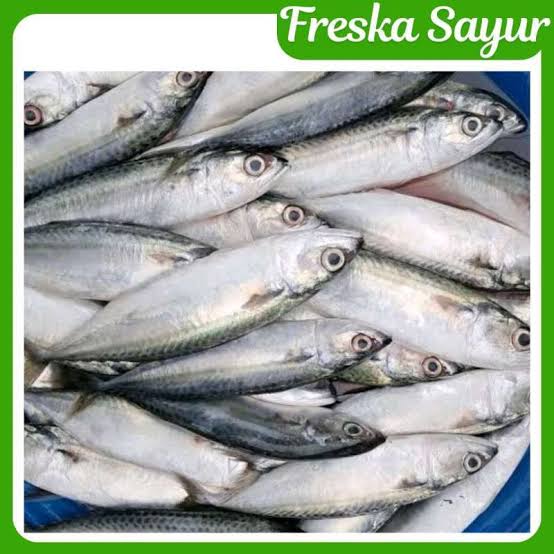 Ikan Kembung 1 Kg