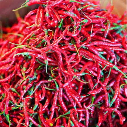 Cabai Merah 500 Gram