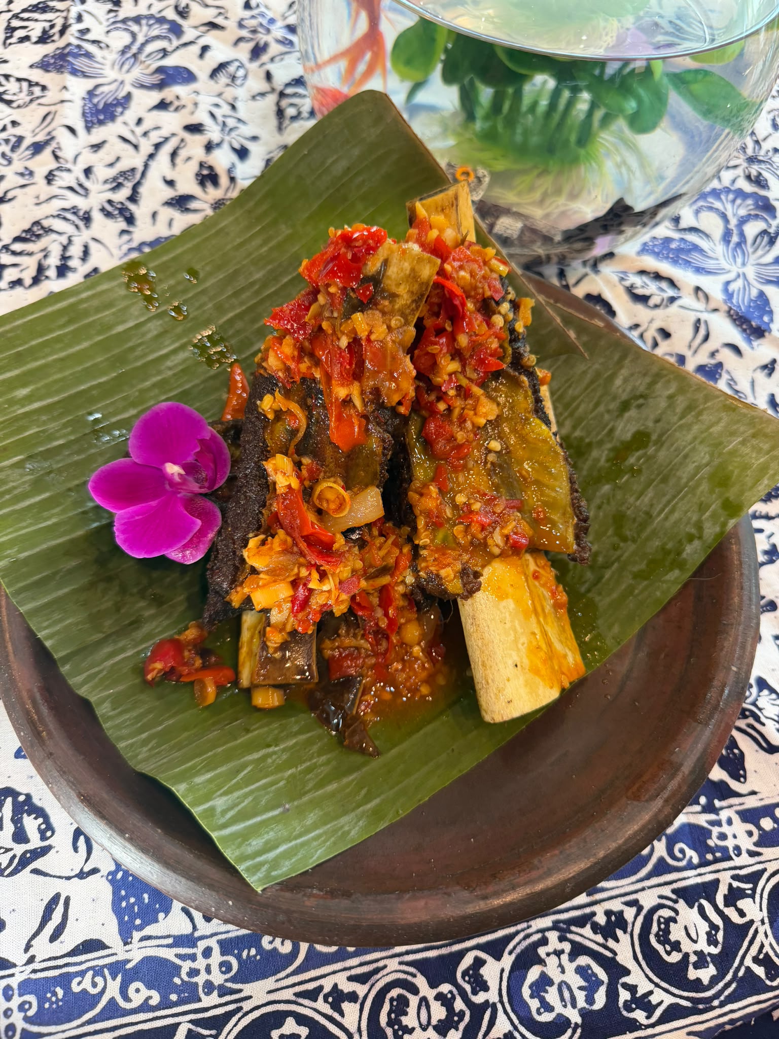 Iga rica