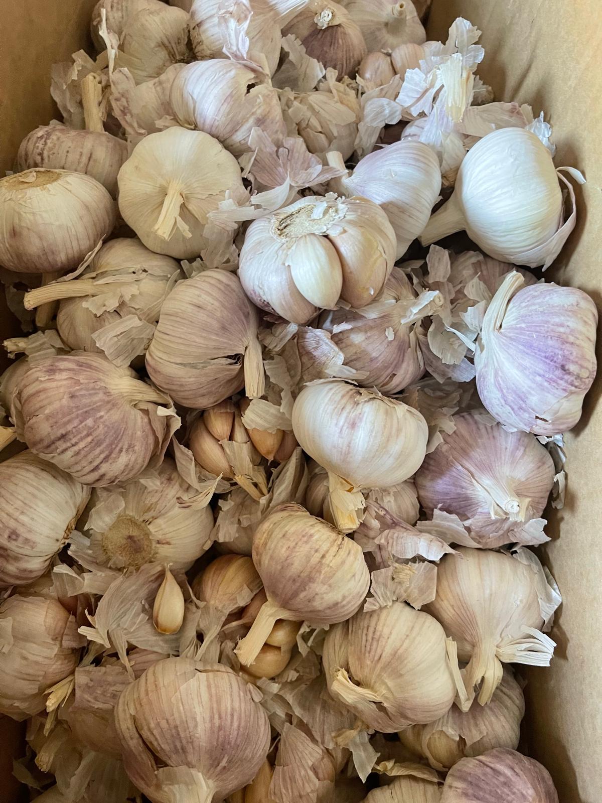 Bawang putih 500 gram