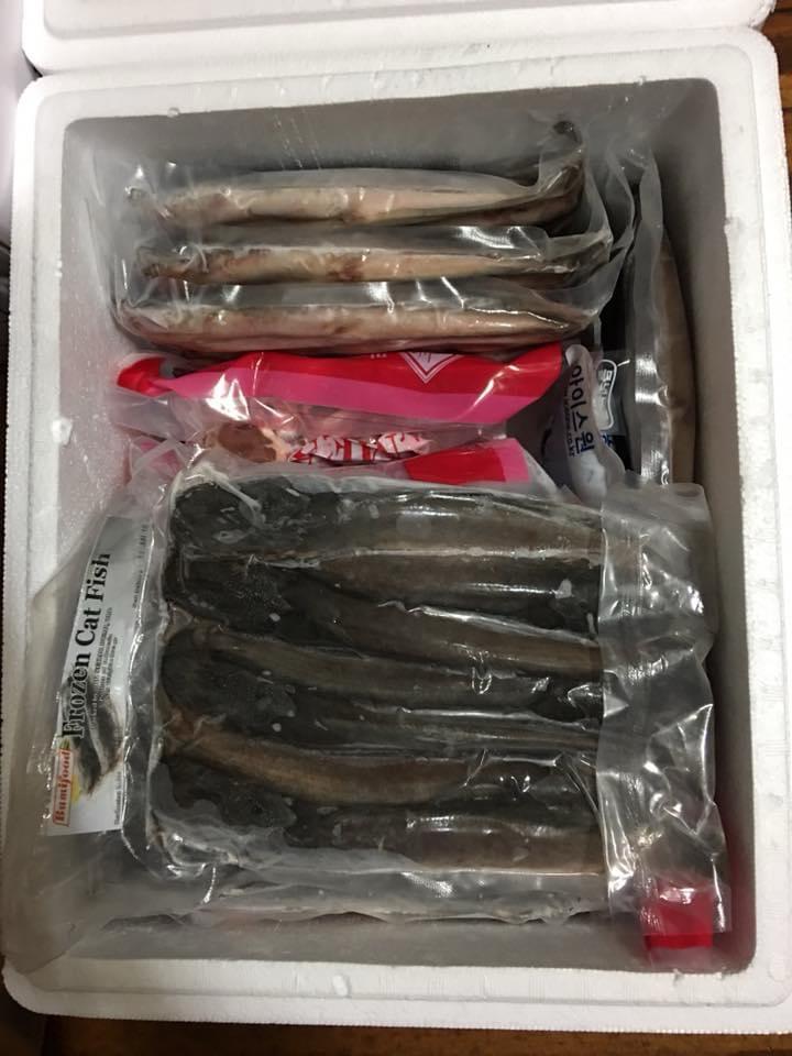Ikan lele